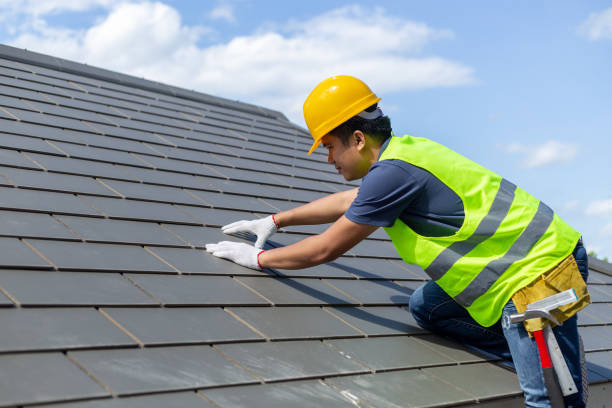 Best Roof Ventilation Installation  in Ansted, WV